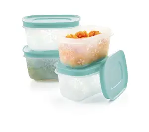 Freezer Containers set of four    .75 cups