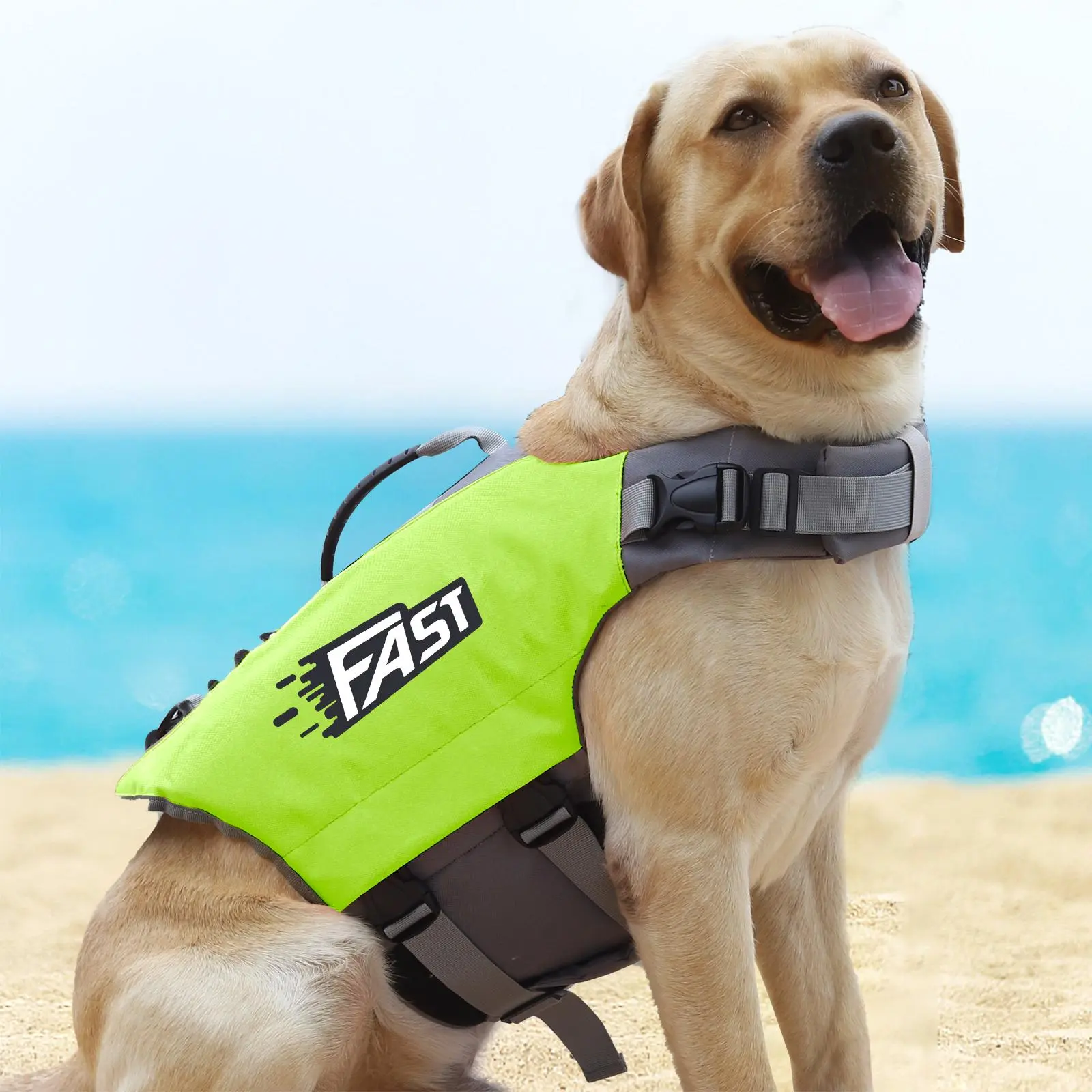Adjustable Pet Lifejacket, Fashionable Pet Outdoor Floating Safety Vest with Rescue Handle, Pet Swimming Vest for Dogs & Cats