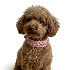 Adjustable Spiked Dog Collar for Small Medium Large Dogs, Durable PU Leather Studded Pet Collar for Daily Use