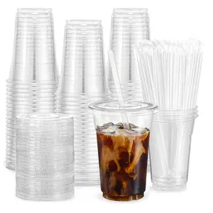 16oz Plastic Cup with Lid & Straw, Clear Plastic Cup, Transparent Reusable Ice Coffee Mug, Durable BPA-Free Drinkware for Cold Beverages, Individual Cups