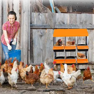 6-Hole Orange Chicken Nesting Box Roll-Away Egg Collection System with Ventilation Holes  Rustproof Plastic Tray Keyhole Mounting  Chicken Laying Box for Hen or Duck
