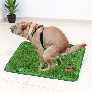 Enhanced Durable Artificial Grass Dog Potty Training Pad Easy to Clean Anti-Odor Solution for Dogs Single Count Pet Mat & Supplies Perfect for Indoor Use