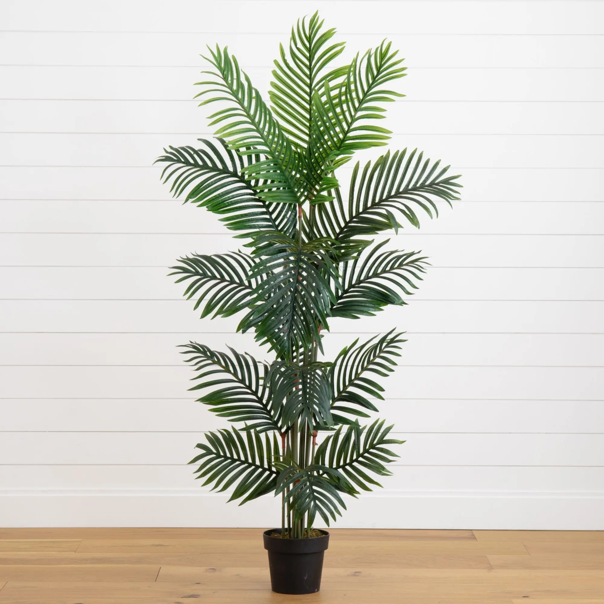 5ft Realistic Look Synthetic Paradise Palm Plant, Decorative Home Decor Plants for Door, Hall - Home Supplies Artificial Foliage, Entryway