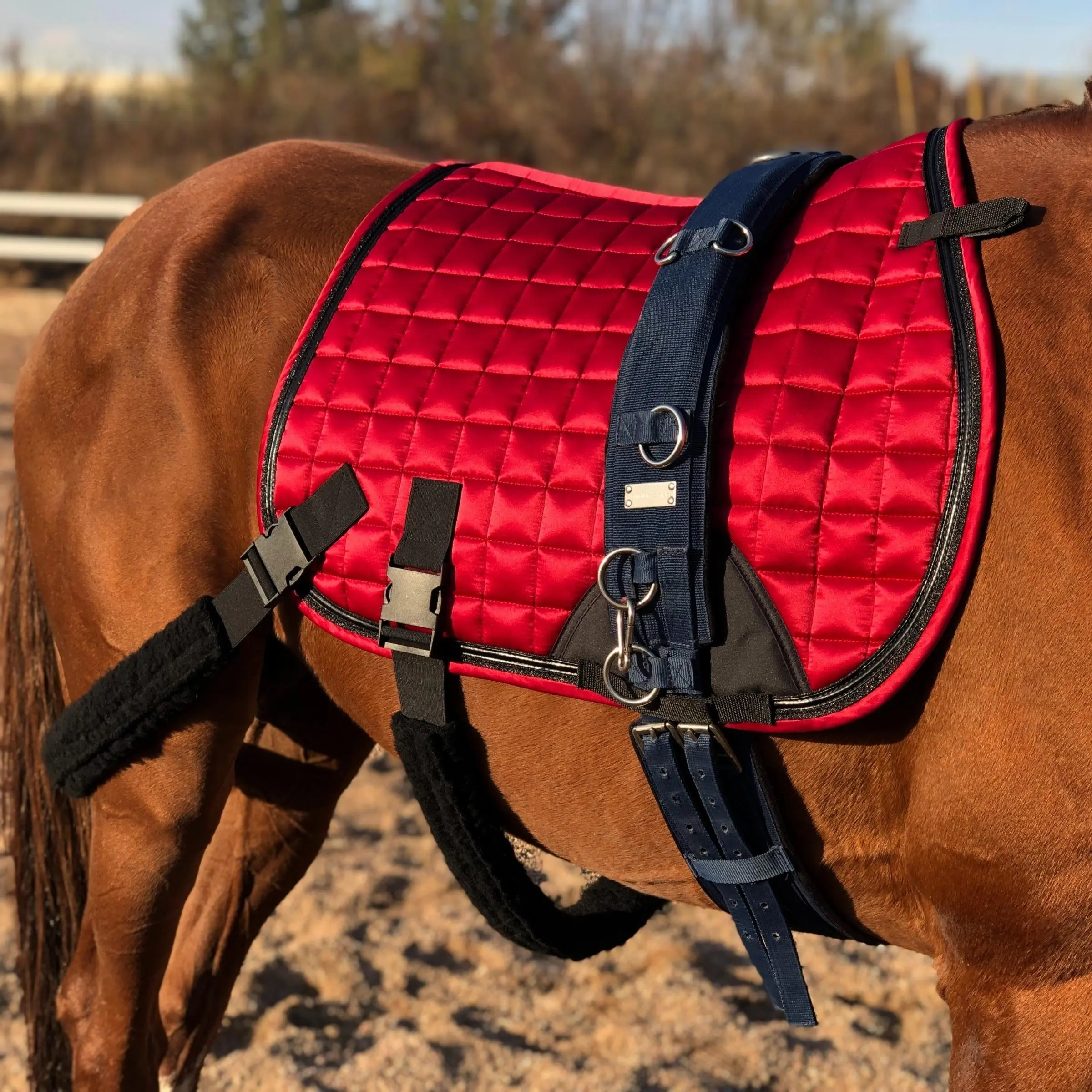 Horse Training Saddle Pad, 1 Count Horse Pad with Detachable Elastic Band & Fur Band, Full Pad for Horse Training, Equestrian Supplies, Riding Gear
