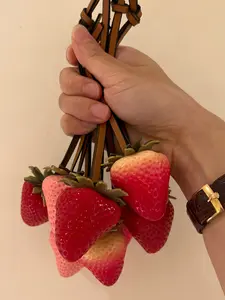 Resin Seedless Strawberry Bag Charm, Cute Fruit Pendant, Couple Bag Accessory, Perfect for Commuting, Gym, Travel, Outdoor Activities