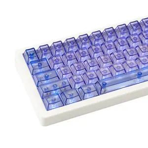 157 Keys Transparent PC Jelly Purple Keycaps, Cherry Profile Custom Mechanical Keyboard Keycaps, Minimalist Clear PC Keycap Set Compatible with Cherry MX, Gateron, Kailh Cross Switch ANSI Layout Keyboard tiktokshopspringglowup