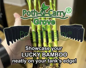Poth-O-Carry® Grove: Bamboo wall for the rim of your aquarium