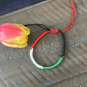 Palestine Flag Adjustable Woven Bracelet - Symbol of Solidarity with Red White Green and Black Cord