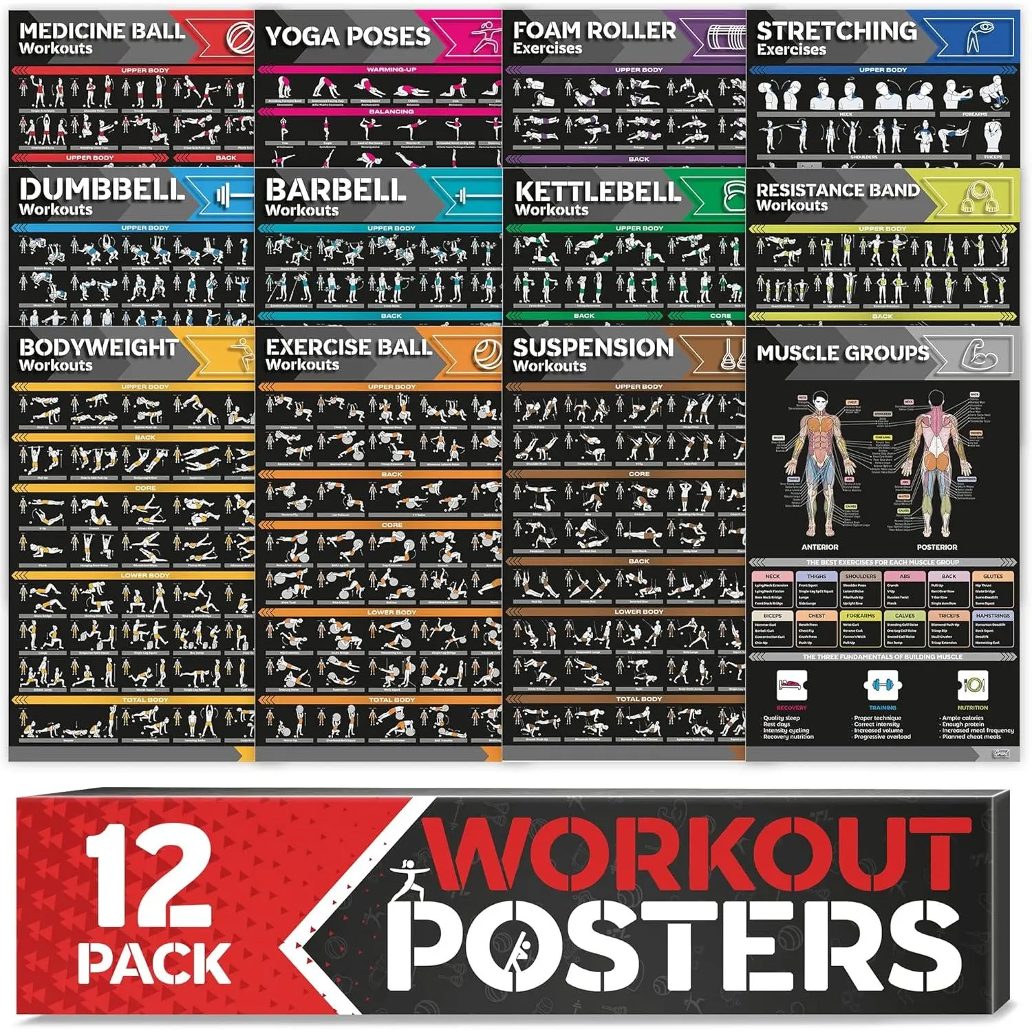 [12-PACK] Laminated Large Workout Poster Set -  Workout Posters for  Gym - Exercise Charts Incl. Dumbbell, Yoga Poses, Resistance Band, Kettlebell, Stretching &  Fitness Gym Posters