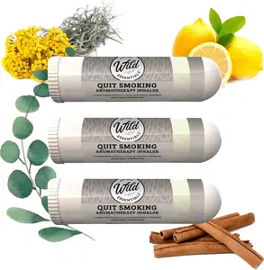 Wild Essentials 3 Pack of Quit Smoking Aromatherapy Nasal Inhalers with All Natural Essential Oils for Smoking Cessation Made in USA - Wellness, Herbal, Holistic