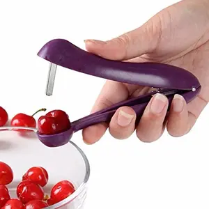 Cherry Fruit Kitchen Pitter Remover, Olive Corer Seed Removal Tool, Vegetable Salad Tools for Cooking Accessories, Utensils, 1 PC