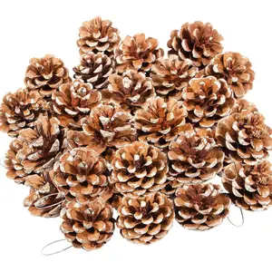 24 count Christmas  Pine Cones,Rustic Pinecones with String for Crafts & Decorating Winter Xmax Holidays Vase and Table Bowl Fillers(Dia. 1.57-1.96 Inches)