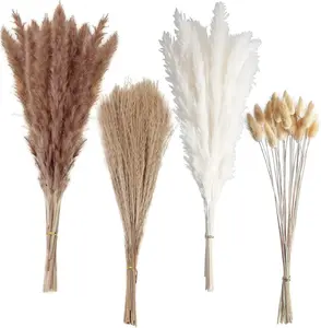 100 PCS Small Boho Pampas Grass, 17" Naturally Dried Pompas, Pampas Grass Decor for Wedding , Boho Party Decorations, Table Decor（Brown and White） Elegant Artificial Plants Decorative Fake Greenery