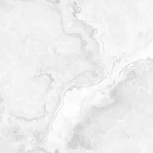 My Luxury Flooring MK GLOSSY Endmatch 24 White Porcelain Tiles - 24 x 48 Inch White Wood Look Seamless End Match Design - Glossy Finish Wall & Floor Use | 15.5 Sq-ft per box | Pallet of 10 Boxes (155 sq-ft)