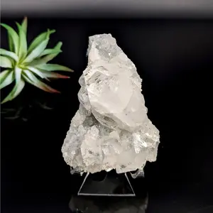 Diamond Apophyllite 2.5 Cluster Healing White Crystal