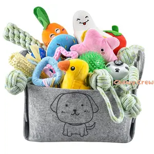 Chewy Crew 24-Piece Puppy Toy Box Ultimate Variety Pack for Teething & Play Squeaky Rope Plush Toys with Storage Bin Cure Boredom Save Big Best for Small Medium Dogs