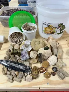 2 GALLON T-REX - FOSSIL AND NATURAL CRYSTAL MINING BUCKET 2 GALLON T-REX - FOSSIL AND NATURAL CRYSTAL MINING BUCKET