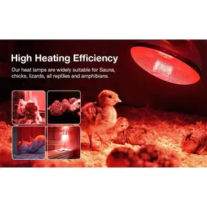 2 Pack 250W Heat Lamp Red Infrared Bulbs Glass Lamp Bulb for Food Service, Brooder Bulb, Chicks, Pet, Bathroom, Light Therapy Use E26 Base, Flood Light Heat Lamp.