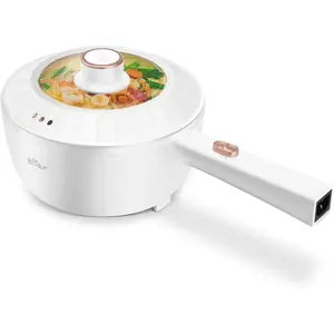 Bear Electric Hot Pot, 2L Multifunctional Portable Cooking Pot, 1000W, for Rapid Noodles, Non-Stick, for Steak, Egg, Ramen, Oatmeal, With Dual Power Adjustment