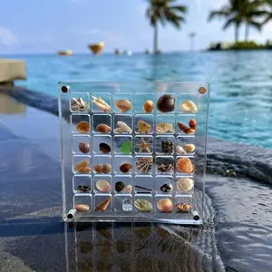 Acrylic Square Shell Storage Box - Transparent Sea Shell Display Cabinet, Mini Beach Stone Decorative Storage Frame