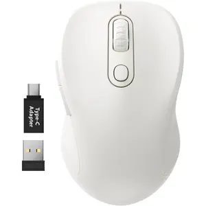 2.4G   for Laptop,    with USB Receiver and Type-C Adapter, 3 Adjustable Levels DPI, 6 Button Cordless  Mice (Pure White)