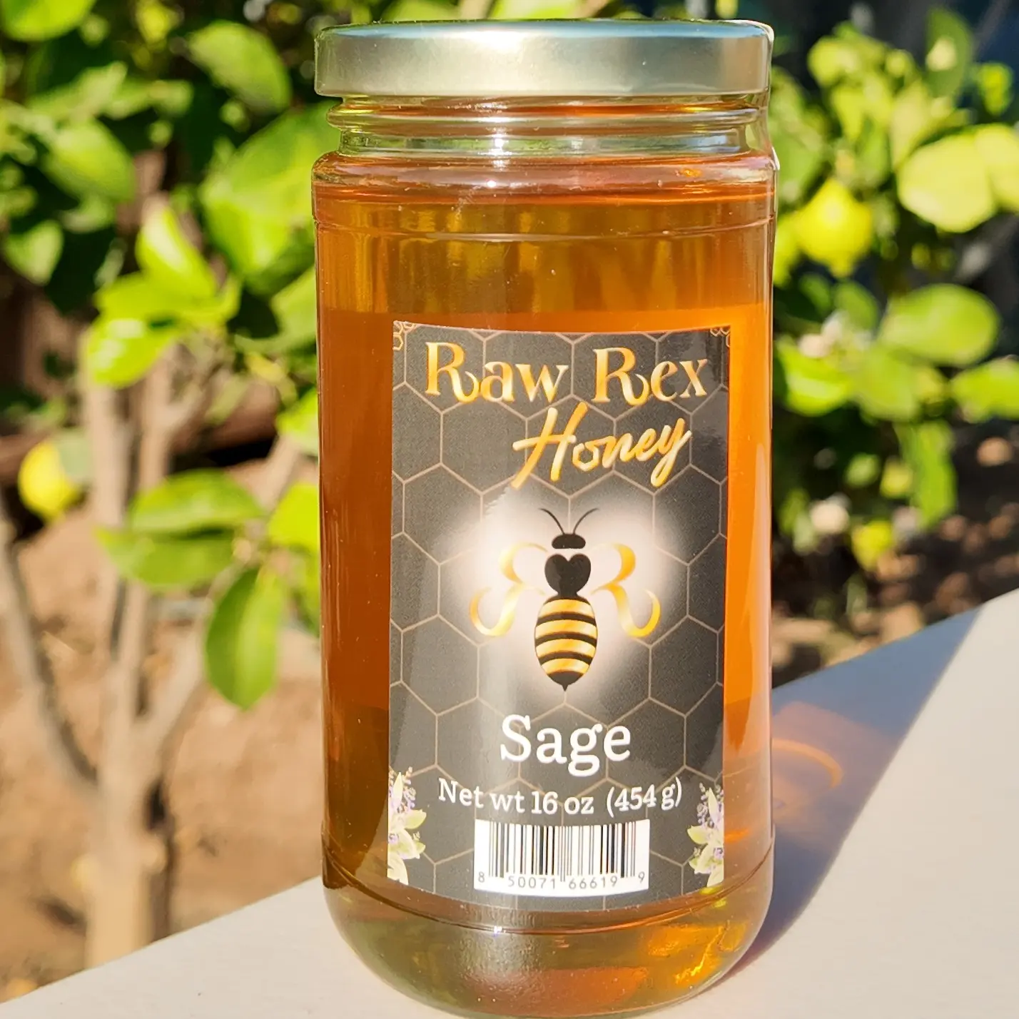 Sage Honey Sage Honey