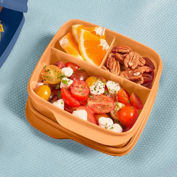 Tupperware Eco+ Lunch-It 3-Compartment Food Storage Container - Airtight, Reusable, Eco-Friendly, 550 mL Capacity, Dishwasher Safe