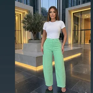Barrel-style jean in mint green tone, a modern piece that combines elegance and freshness. Its slightly curved leg design stylizes the silhouette while the glitter details distributed throughout the garment