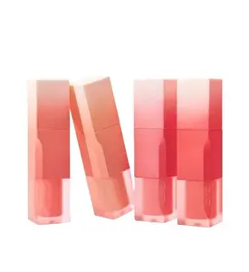 CLIO Chiffon Blur Tint K-Market Edition