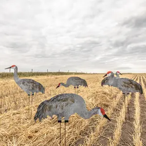 C2 Sandhill Crane Silhouettes
