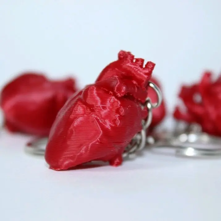 Anatomical Heart Keychain - Red Heart Design, Flexible Material, Keyring Attachment, Simple and Elegant Style