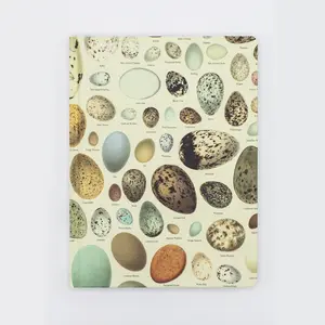 Hardcover Notebook Dot Grid • Eggs
