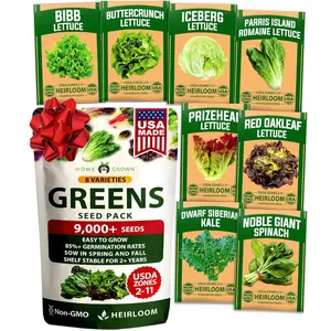 Lettuce, Kale & Cabbage Seeds – Non-GMO Heirloom Vegetable Variety Pack, Salad Greens Mix with Romaine, Butterhead, Iceberg, Leaf Lettuce, Spinach & Kale, for Indoor, Outdoor & Hydroponic Garden Growing
