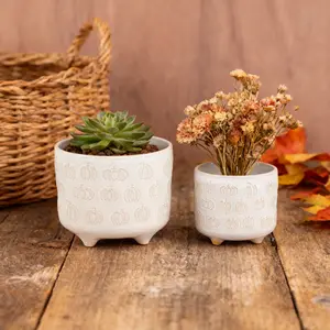 6" & 4.75“ ALL OVER Pumpkins Footed Ceramic Set of 2 Hand-Crafted Ivory Planter for Indoor Use
