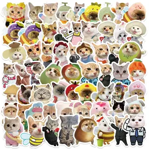 62PCS Aesthetic Cat Stickers Bi Bi La Bu Mixed Cartoon Kitten Vinyl Waterproof Decals for Kindle Laptop Phone Case WaterBottle Adorable Feline Character Art Stickers for Students Kids Fans High Quality Matte Finish Fridge Decor StickerPack