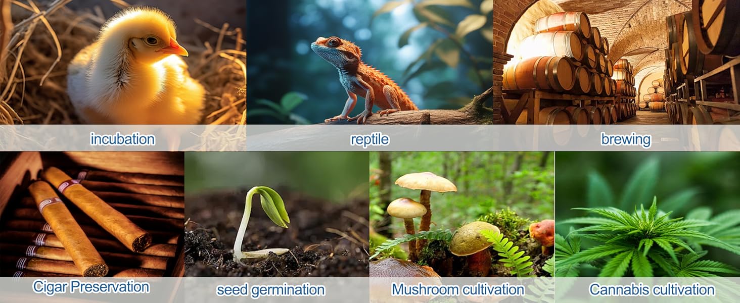 DIGITEN Temperature and Humidity Controller with Timer - 3 Outlet, 2 Separate Probes, Plug in Temperature Controller for Reptiles,Snake, Mushrooms, Tent, Triple Control for Temp,Humidity,Time