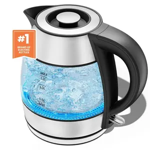 Rapid Boil 1.2L Electric Tea Kettle with Removable Lid - Stainless Steel, New