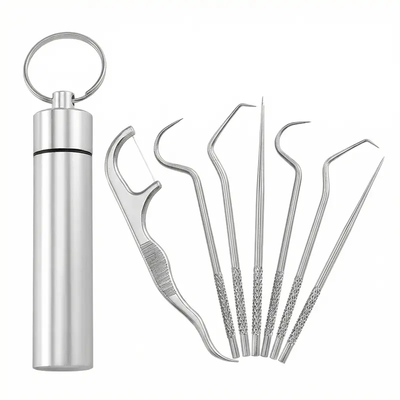 7-Pcs Reusable Stainless Steel Oral Toothpick Set with Keychain, Portable Dental Tools, Home Supply Storage Box
