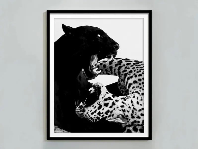 Cheetah and Jaguarm Poster
