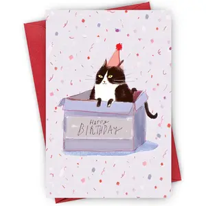 Purr-fect Birthday Cat Card - Playful Tuxedo Cat in Pink Party Hat Sitting Inside 'HAPPY BIRTHDAY' Gift Box, Confetti-Sprinkled Pastel Pink Background, Perfect for Birthday Celebrations, Perfect Gift for Cat Lovers