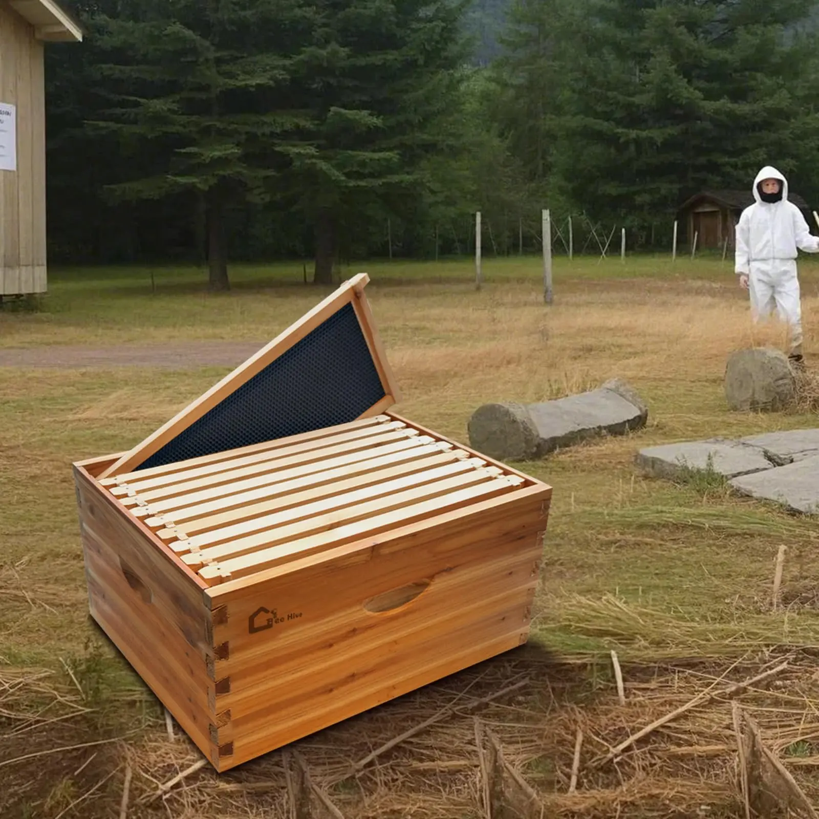 10 Frame Bee Hive Box, Wax Coated Honey Super Bee Hive Kit with Frames and Foundations Sheets for Beginners Beekeepers, Deep Box