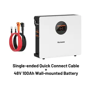 HumsiENK 48V 100Ah Wall-mounted LiFePO4 Bluetooth Battery, Built in 100A BMS & LCD Touchscreen(Indicator), Grade A Cells & 6000+ Deep Cycles for Off-Grid, Solar System, Home Backup