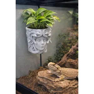 Medusa Planter | sized for REPTILES | Magnetic | Plant Add-ons