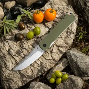 High Hardness G10 Handle Pocket Fruit Knife D2 Steel Outdoor Camping Knife