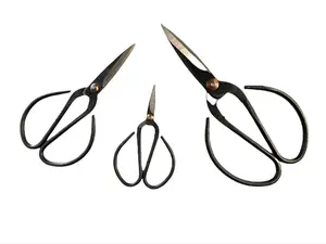 Indoor House Plant Propagation Steel Scissors
