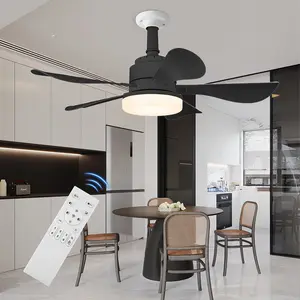 Ceiling Fans with Lights and Remote, 25 Inch Quiet Ceiling Fans with 5 Blades, LED Dimmable, 6 Speed Low Profile Ceiling Fan with Light for Bedroom, Garage, Kitchen, Living Room