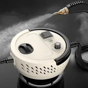 Steam Cleaner High Pressure and Temperature Sterilization 2500W Handhled Household Air Conditioner Kitchen Hood Car Washer