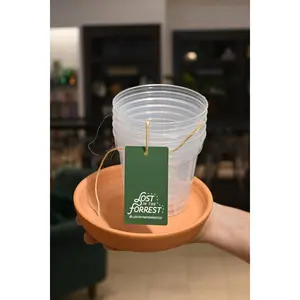 Clear Nursery Pots