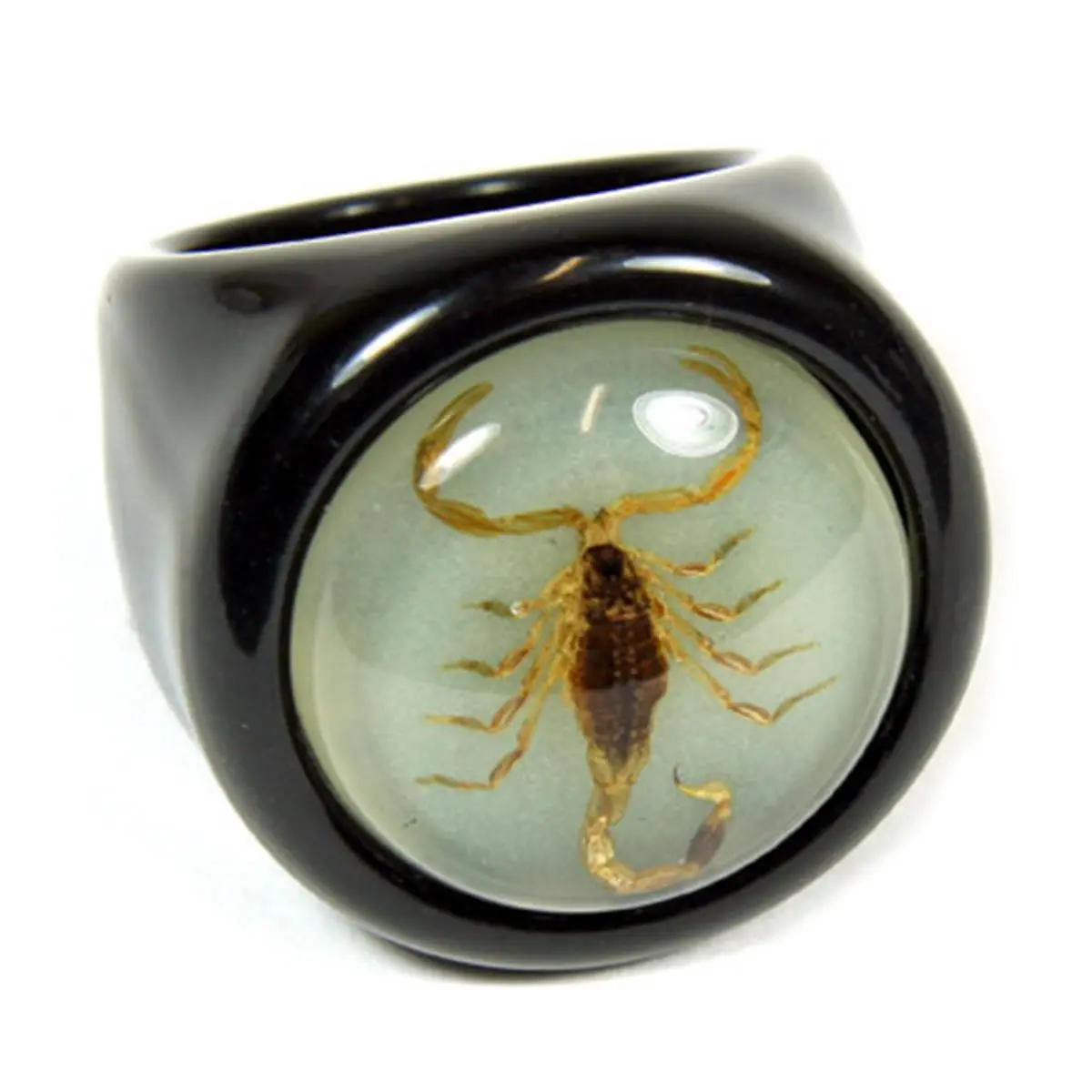 High Quality Fashion Real Bug Gold Scorpion Black Ring - Glow in Dark Back, 1 x 1-3/16 in, Size 6, High Quality Components