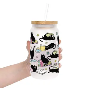 Cat Lovers Collection Glass Water Bottle with Lid & Plastic and Glass Straws